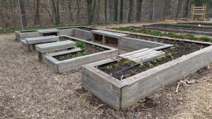 Is Mca Food Safe for Vegetable Gardens