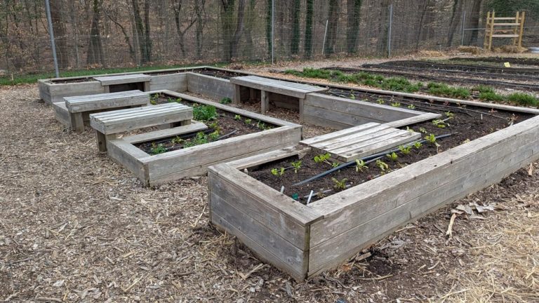 Is Mca Food Safe for Vegetable Gardens