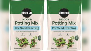 Is Miracle-Gro Potting Soil Safe for Vegetables? Find Out