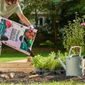 Is Miracle-Gro Safe for Vegetable Gardens? Cleared Up