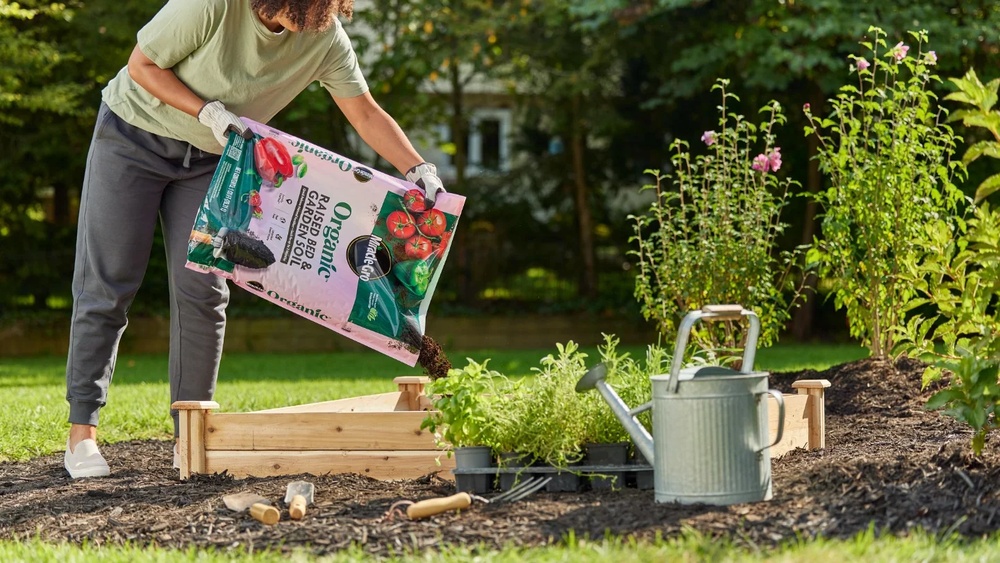 Is Miracle-Gro Safe for Vegetable Gardens? Cleared Up