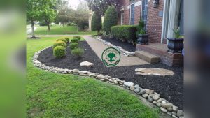 Is Mulch Or Rock Better For Landscaping