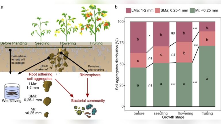 Is Potting Soil Homogeneous Or Heterogeneous? Clear Answer Here