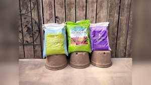 Is Potting Soil Ok to Use in Outdoor Gardens? Honest Answer