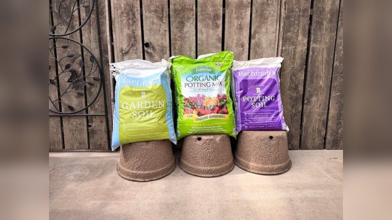 Is Potting Soil Ok to Use in Outdoor Gardens? Honest Answer