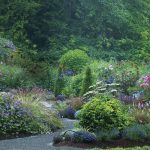 Is There an App That Helps With Landscape Design? Yes!