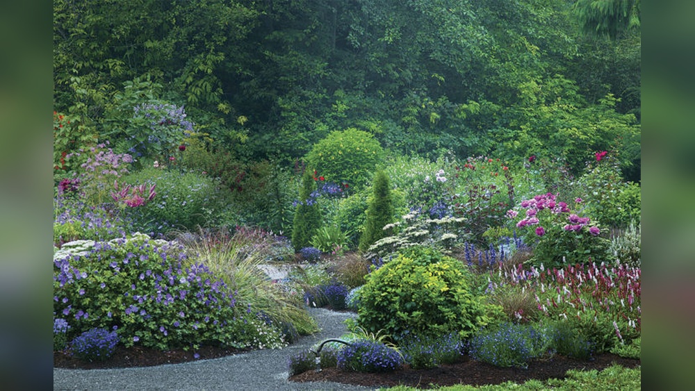 Is There an App That Helps With Landscape Design? Yes!