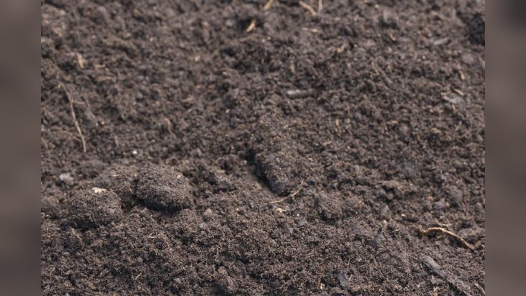 Is Triple Mix Good for Vegetable Gardens