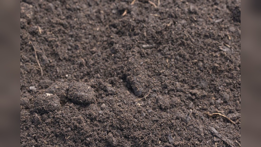 Is Triple Mix Good for Vegetable Gardens