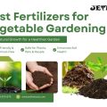 Is Urea Soil Amendment Safe for Organic Gardening?