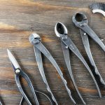 Must-Have Bonsai Tools Every Beginner Needs to Start
