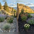 Should You Use Landscape Fabric Under River Rock? Honest Answer