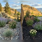 Should You Use Landscape Fabric Under River Rock? Honest Answer