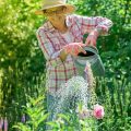 What Is a Heat Wave for Vegetable Gardens? Know the Signs