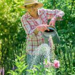 What Is a Heat Wave for Vegetable Gardens? Know the Signs