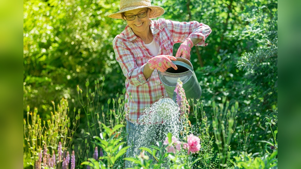 What Is a Heat Wave for Vegetable Gardens? Know the Signs