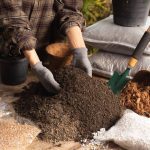 What Is the Best Soil to Use for Container Gardening?