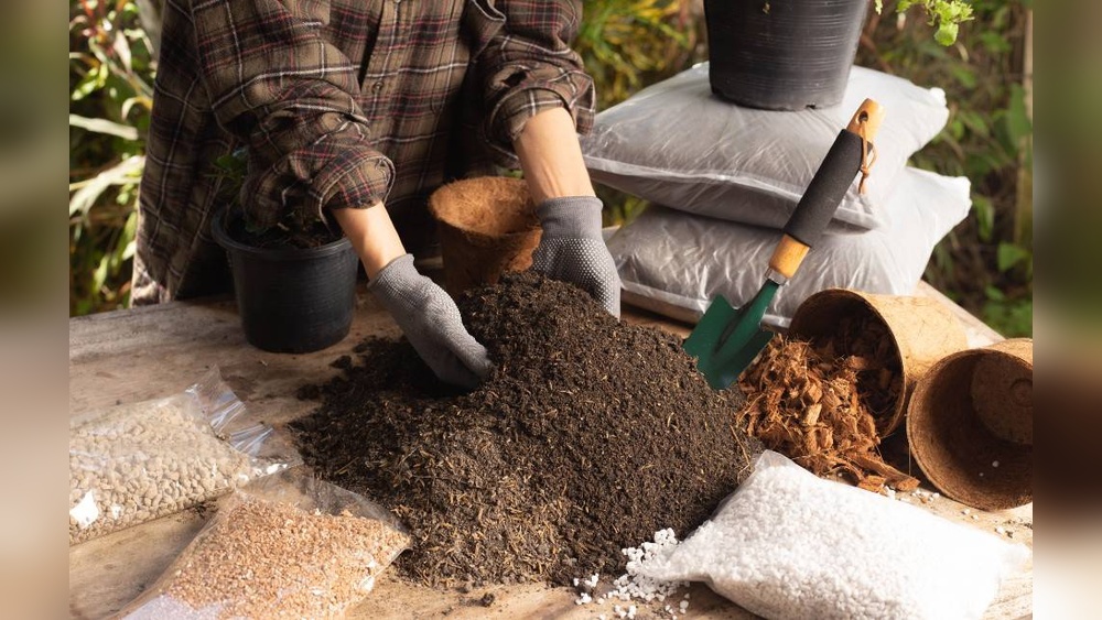 What Is the Best Soil to Use for Container Gardening?