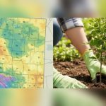 What Is the Gardening Plant Zone for St. George Utah? Mapped Out