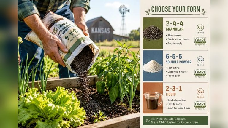 What Soil to Use in Raised Bed Vegetable Gardens (Best Picks)