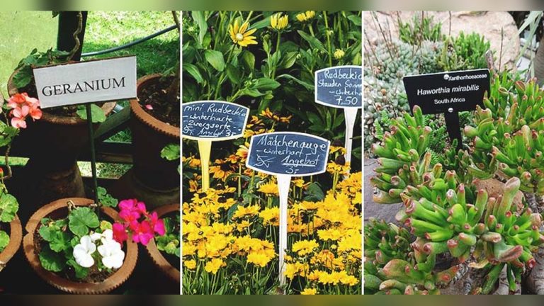 What Type of Plant Labels Do Botanical Gardens Actually Use?