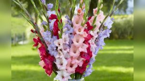 When Can You Plant Bulbs in the Spring? Timing Guide