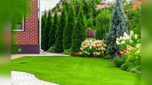 When Is The Best Time To Do Landscaping