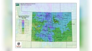 When to Plant Grass Seed in Colorado (Zone-By-Zone Guide)