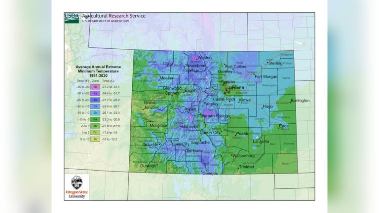 When to Plant Grass Seed in Colorado (Zone-By-Zone Guide)