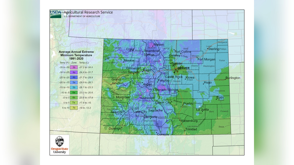 When to Plant Grass Seed in Colorado (Zone-By-Zone Guide)