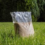 When to Plant Grass Seed in Illinois This Spring (Timing)