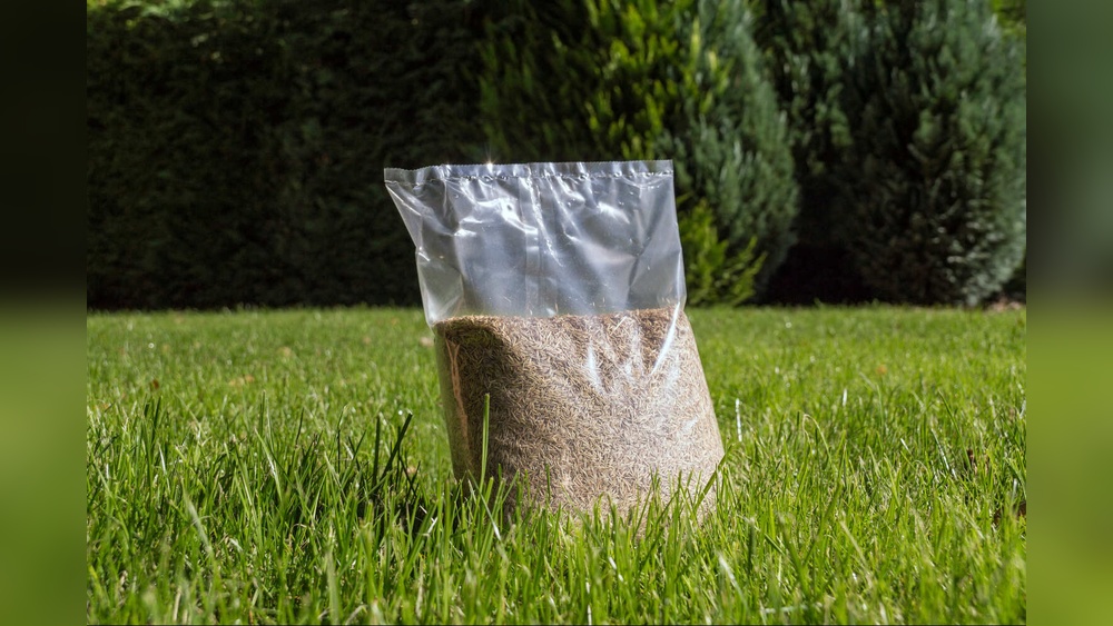 When to Plant Grass Seed in Illinois This Spring (Timing)