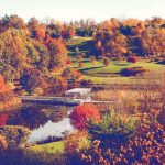 Where Do Plants Come From for Botanical Gardens? Fascinating Truth
