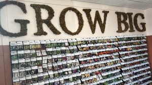 Where Does Mi Gardener Get Its Seeds? Full Breakdown