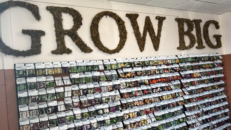 Where Does Mi Gardener Get Its Seeds? Full Breakdown