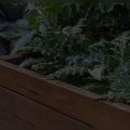 Where to Buy Recycled Plastic Landscape Timbers Online