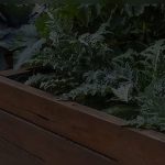 Where to Buy Recycled Plastic Landscape Timbers Online