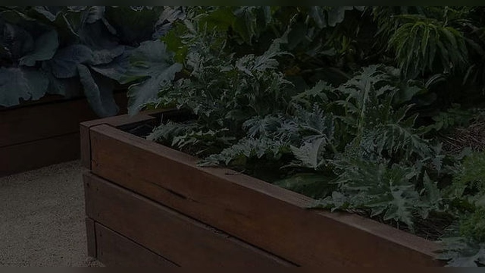 Where to Buy Recycled Plastic Landscape Timbers Online