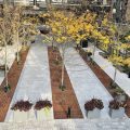 Where to Buy Tree Grates for Urban Landscaping Projects