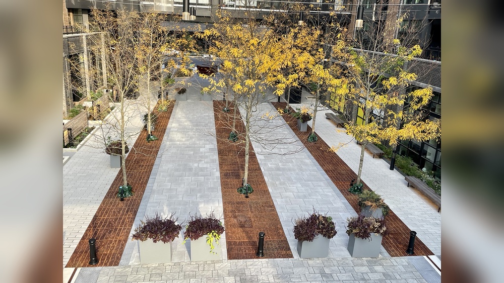Where to Buy Tree Grates for Urban Landscaping Projects