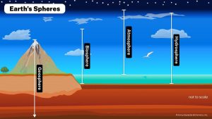 Which Layer of Soil Has No Living Things in It? Find Out Here