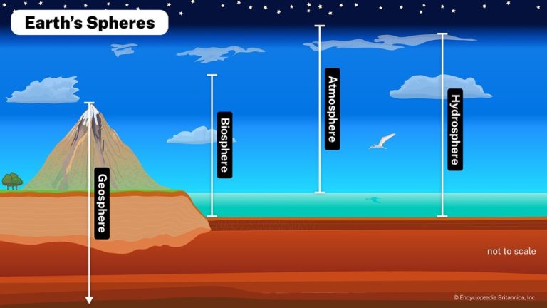 Which Layer of Soil Has No Living Things in It? Find Out Here