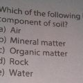 Which of the Following Is Not a Component of Soil?