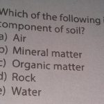 Which of the Following Is Not a Component of Soil?