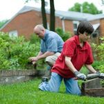 Why Are Vegetable Gardens Energy Efficient? The Real Reason