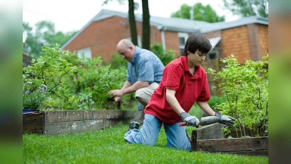 Why Are Vegetable Gardens Energy Efficient? The Real Reason