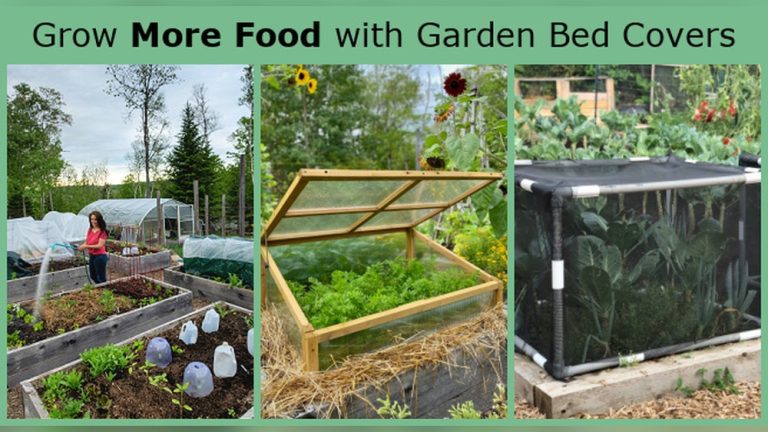 Why Do You Cover Your Vegetable Gardens