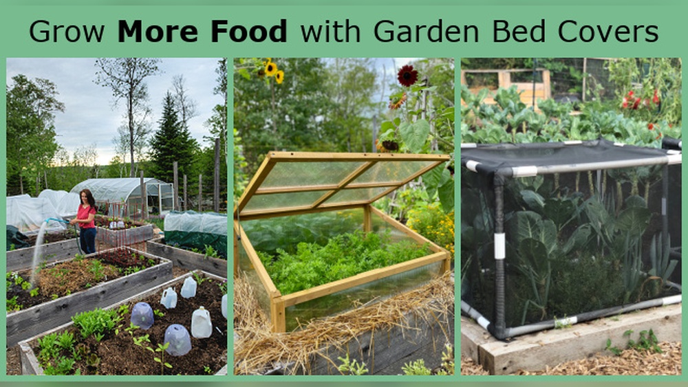 Why Do You Cover Your Vegetable Gardens