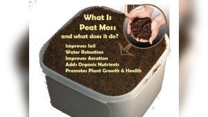 Why Is It Helpful to Aerate Soil Before Planting? Explained
