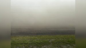 Why Is Soil Considered a Nonrenewable Resource? Real Reasons